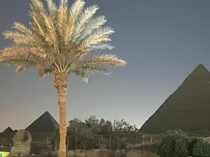 Kép Blue Scarab Pyramids View szállásáról Kairóban a galériában