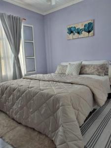 a bedroom with a large bed in a room at Alojamiento Turístico Los Pinos in Villa Elisa