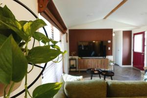 a living room with a couch and a plant at Grandma's House at Rosewood Lodge in Iola