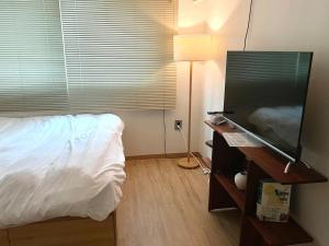 TV a/nebo společenská místnost v ubytování Hapjeong Mangwon Two Room