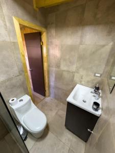 a bathroom with a toilet and a sink at Cabañas descanso verde in Puerto Octay