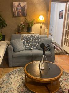 a living room with a couch and a table with a camera at The Crestone Hideaway in Crestone