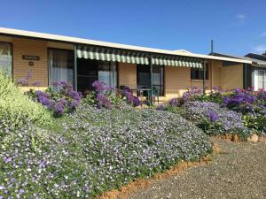Φωτογραφία από το άλμπουμ του Baywatch - Emu Bay - Kangaroo Island σε Emu Bay