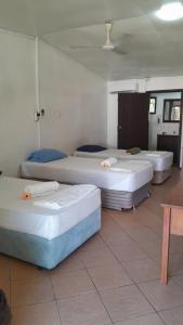 Mana Backpacker and Dive Resort客房内的一张或多张床位