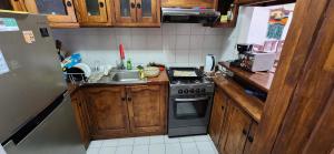 Kuchyň nebo kuchyňský kout v ubytování Apartamento Termas de Chillán