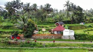 特特巴图kunang kunang的棕榈树田里的一个小房子