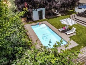 an overhead view of a swimming pool in a yard at Peaceful Sonoma Oasis with Pool in Sonoma