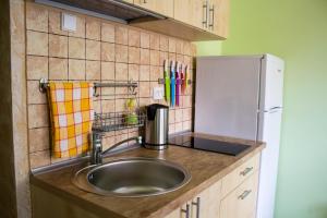 une cuisine avec un évier et un réfrigérateur dans l'établissement Central Apartments Karolina, à Druskininkai 24 autres photos