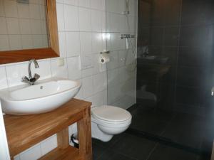 uma casa de banho com um lavatório, um WC e um chuveiro em Sint Nicolaashoeve em Nieuwveen