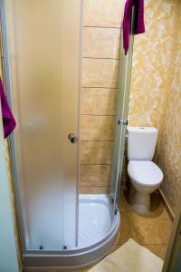 une petite salle de bain avec toilettes et douche dans l'établissement Central Apartments Karolina, à Druskininkai