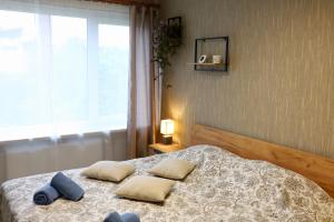 a bedroom with a bed with two pillows and a window at PILS IELAS apartamenti in Smiltene