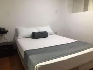Postel nebo postele na pokoji v ubytování Hotel Castellon Plaza Pereira