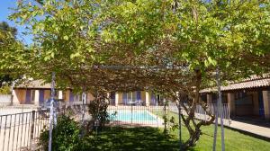 カスティヨン・デュ・ガルにあるAppartements " Le Clos De La Cerisaie"のスイミングプール付きの家の前の木