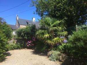un jardín con una palmera frente a una casa en Gîte de charme proche Rance 4 étoiles 3 Chambres, en Le Minihic-sur-Rance
