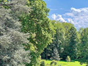 a large tree in the middle of a field at Sahler Duplex 20th-Century Château in Exincourt