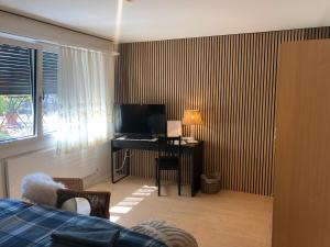 Televiisor ja/või meelelahutuskeskus majutusasutuses Ferienhaus Zulg-Doppelzimmer mit Gartenblick