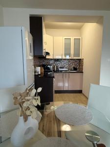 Η κουζίνα ή μικρή κουζίνα στο ZENNA Apartment v centre mesta s parkovaním FREE