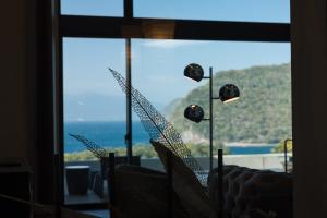 Příroda nedaleko hotelu + 37 fotografií