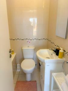 a small bathroom with a toilet and a sink at Viktoria Houses Anarita in Anarita +13 photos