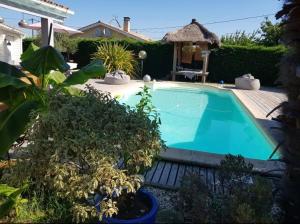 una piscina en un patio con plantas en La Villa du Teich, en Le Teich