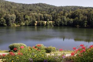 a view of a lake with flowers and trees at Landgasthof Trattnig in Schiefling am See