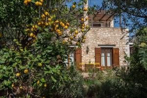 Zahrada ubytování Villa Eleonas