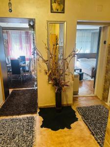 Gallery image of Apartman Valjevo DK in Valjevo