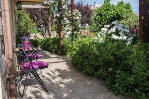Zahrada ubytování Villa Eleonas