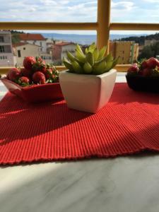 Balkón nebo terasa v ubytování Apartment Marijeta Makarska