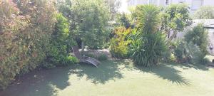 Zahrada ubytování Coroxyco + 3 fotografie