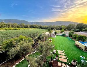 an aerial view of a green field with people on it at בוסתן החורש in Haifa