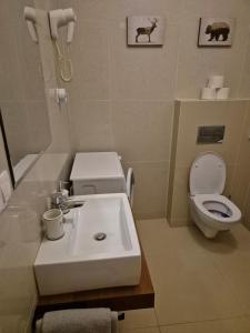 a bathroom with a sink and a toilet at High Tatras Apartment J303 in Veľká Lomnica