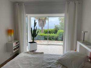 - une chambre avec un lit et une fenêtre avec un cactus dans l'établissement Villa Ancône, à Calcatoggio
