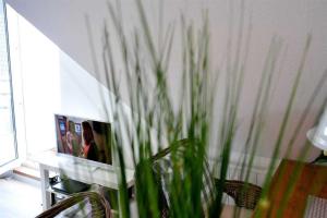 a vase with plants in a room with a mirror at Wohnung 3 ID 181 in Sankt Peter-Ording