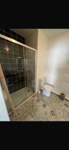 a bathroom with a shower and a toilet at La tour carree, t2 avec parking in Cité de Port-Neuf +12 photos