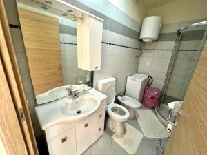 a bathroom with a sink and a toilet and a mirror at Apartments ENA near Rovinj in Šorići