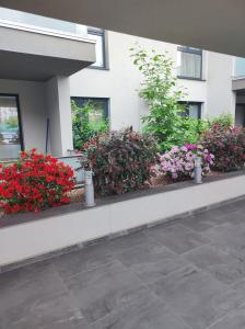 a row of flowers in front of a building at grand hill panorama in Cluj-Napoca