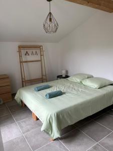 Postel nebo postele na pokoji v ubytování Chambres d hotes et Gites du Lac