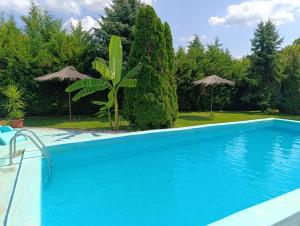 The swimming pool at or close to Village Park