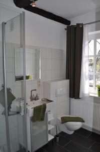 a bathroom with a toilet and a sink and a shower at Apartment Brauner Hirsch in Celle