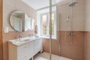 een badkamer met wastafel en douche bij Gîte de l'Oriel - Gîte avec Grand Jardin in Sainte-Marie-aux-Mines