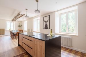 een keuken met een groot eiland in een woonkamer bij Gîte de l'Oriel - Gîte avec Grand Jardin in Sainte-Marie-aux-Mines