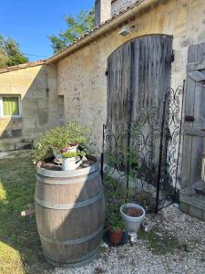 Zahrada ubytování Studio de La Bellue