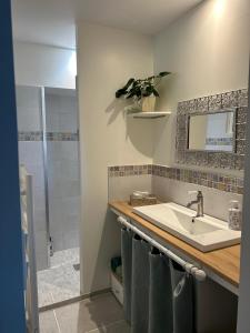 Koupelna v ubytování Studio de La Bellue + 7 fotografií