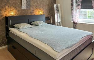 a large bed in a bedroom with a blue blanket at Gorgeous Home In Spøttrup With Wifi in Spottrup