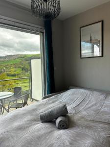 a bedroom with a large bed with a large window at L'Erable T2 climatisé in Trébas +43 photos