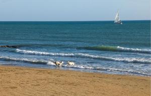 two dogs walking in the water on the beach at Gorgeous Home In Acate in Acate +20 photos