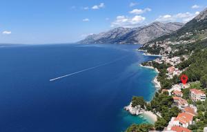 Naturlandskabet i nærheden af lejligheden