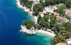 Naturlandskabet i nærheden af lejligheden + 13 billeder