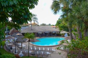 那不勒斯那不勒斯海湾沿岸酒店的一个带椅子和遮阳伞的室外游泳池